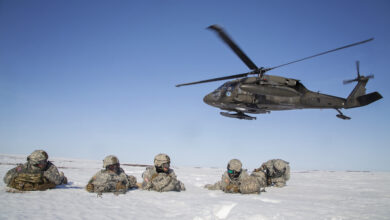 US Army arctic